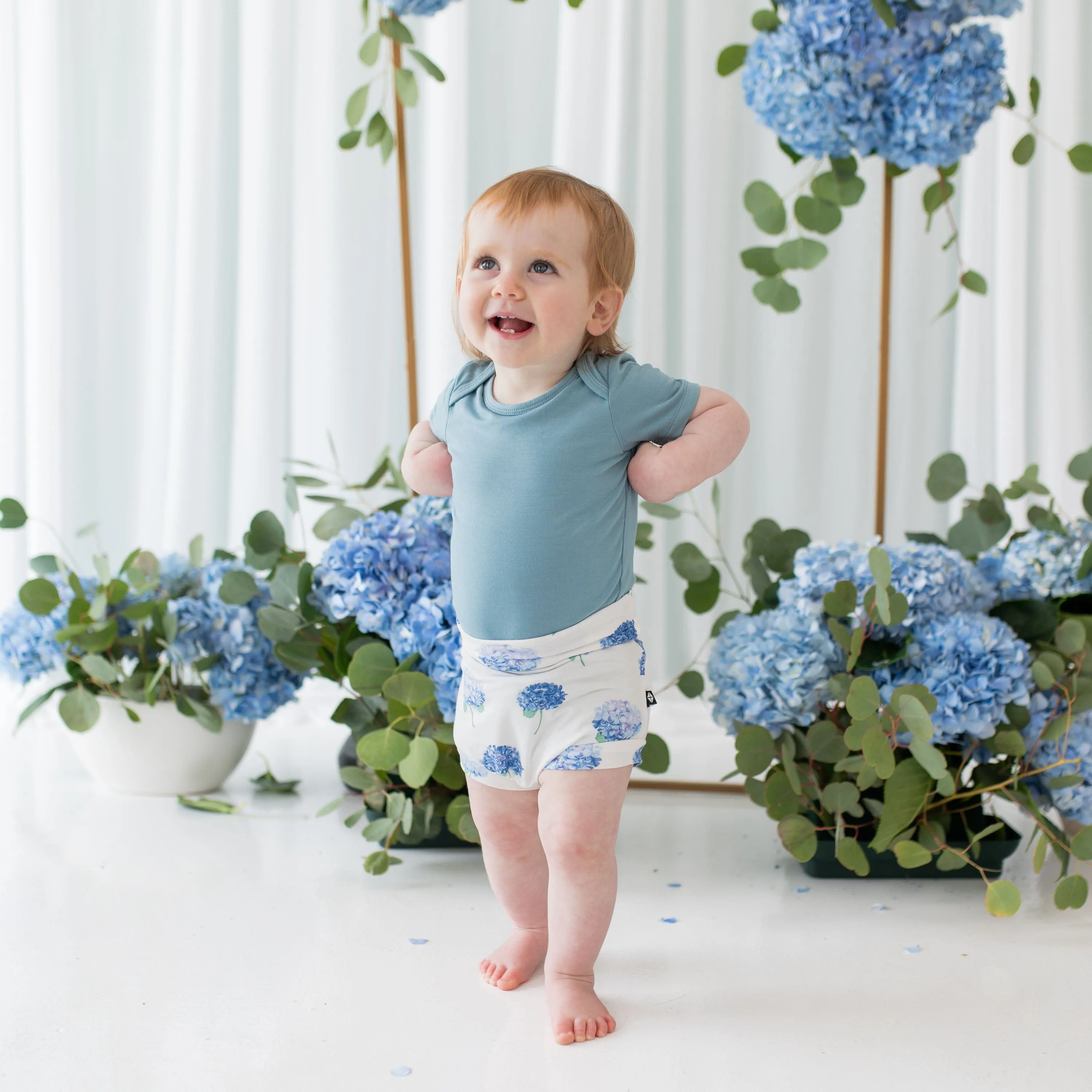 Bummies in Hydrangea