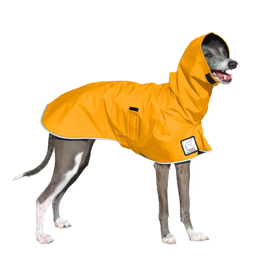 Italian Greyhound Raincoat