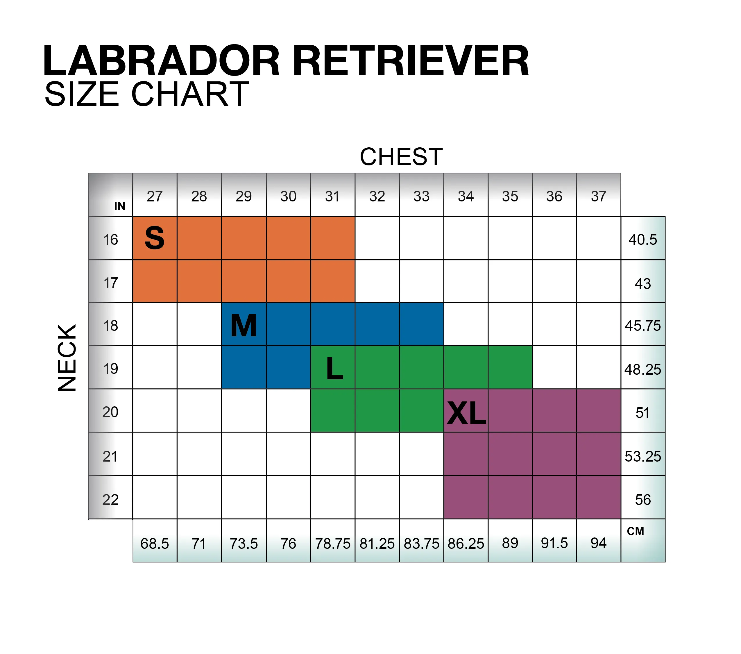 Labrador Retriever Raincoat