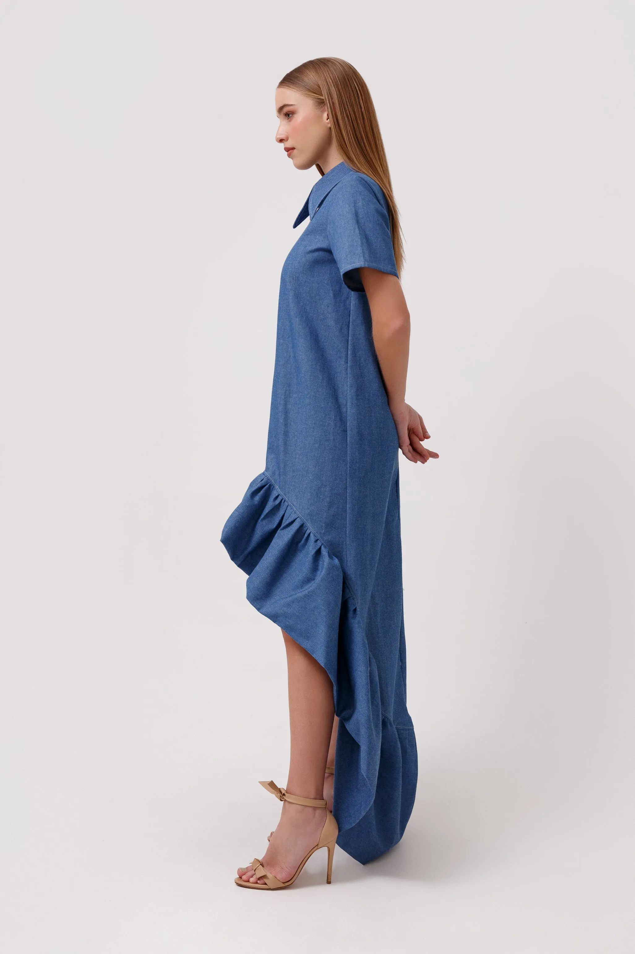Violette Denim Dress