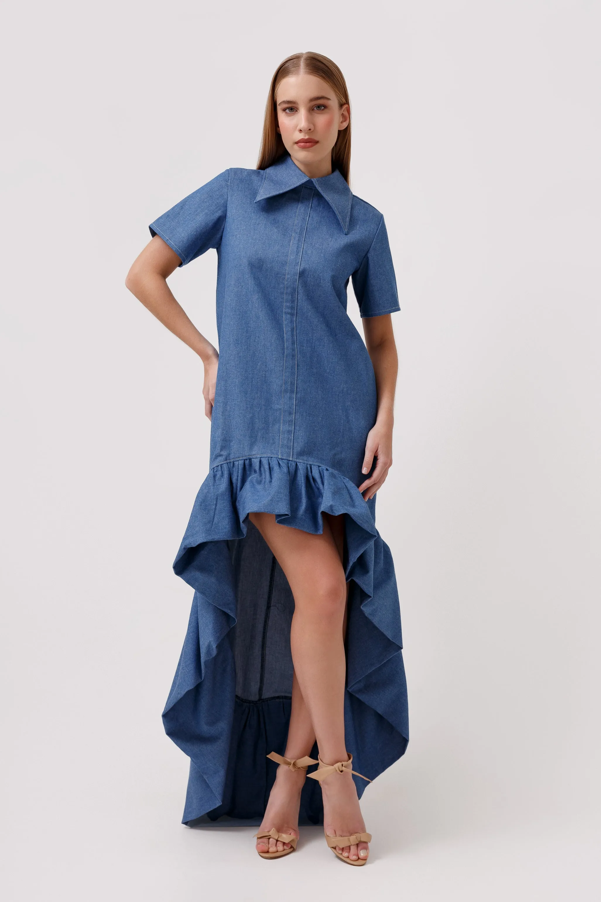 Violette Denim Dress